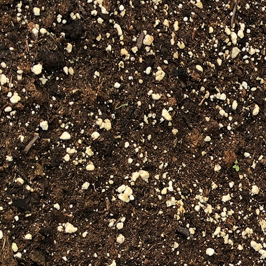 garden soil with perlite